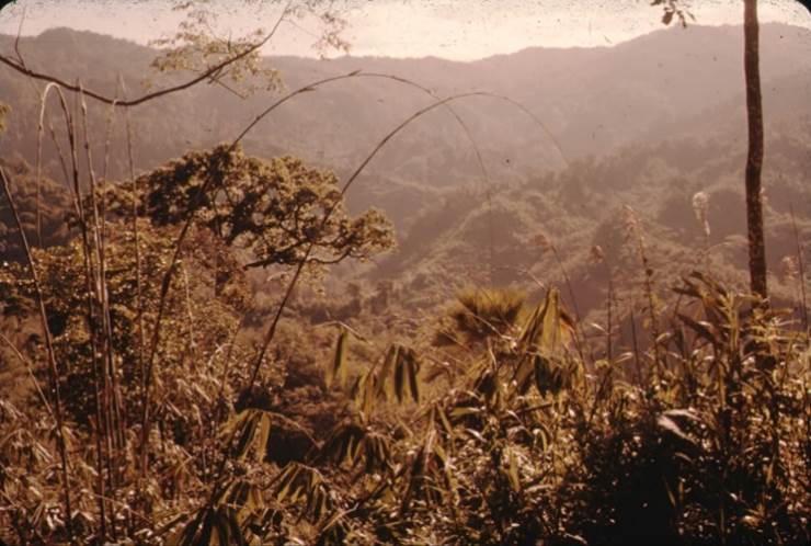 A picture containing outdoor, snow, mountain
Description automatically generated